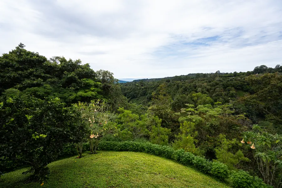Wiese, Wald, Wolken — der Blick vom Estate