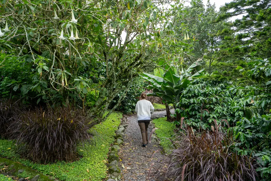 Der Weg führt mitten durch den Garten