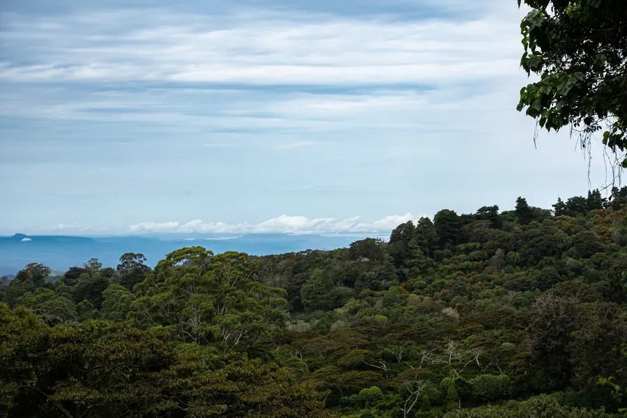 Dasselbe Panorama, diesmal von Blättern gerahmt