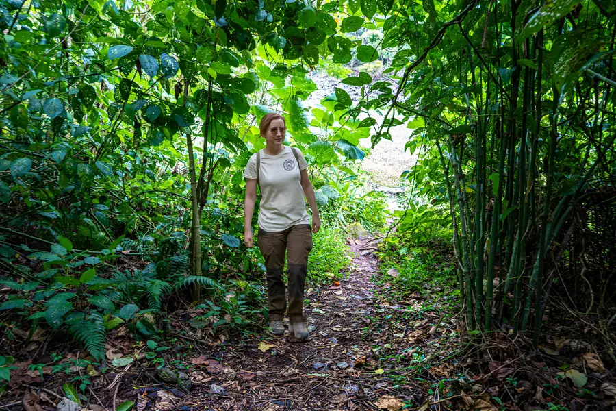 Pipeline Trail