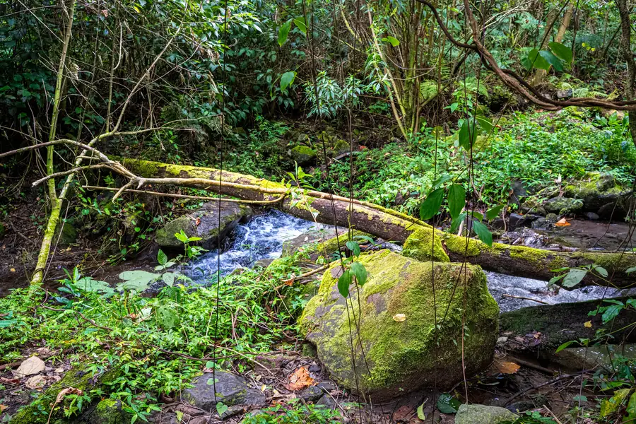 Pipeline Trail