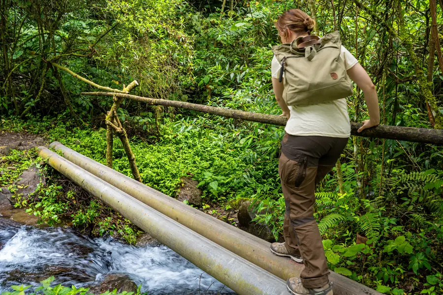 Pipeline Trail