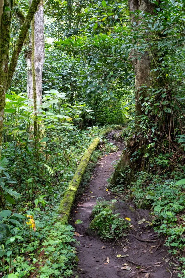 Pipeline Trail