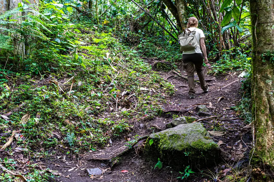 Pipeline Trail