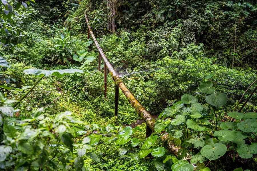 Pipeline Trail