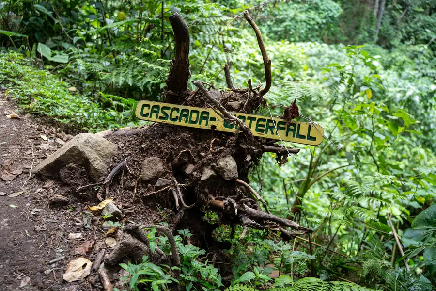 Pipeline Trail
