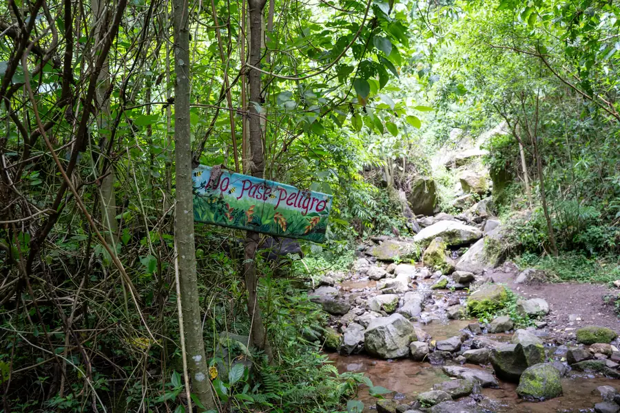 Pipeline Trail