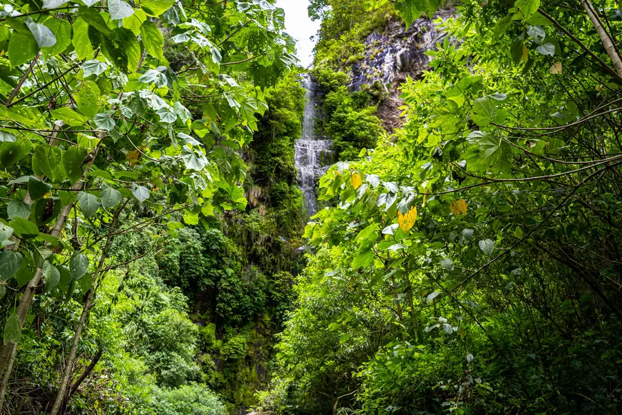 Pipeline Trail