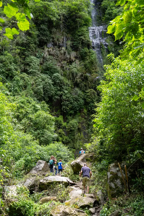 Pipeline Trail