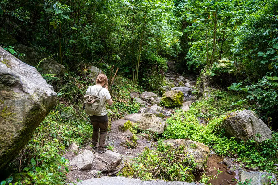 Pipeline Trail