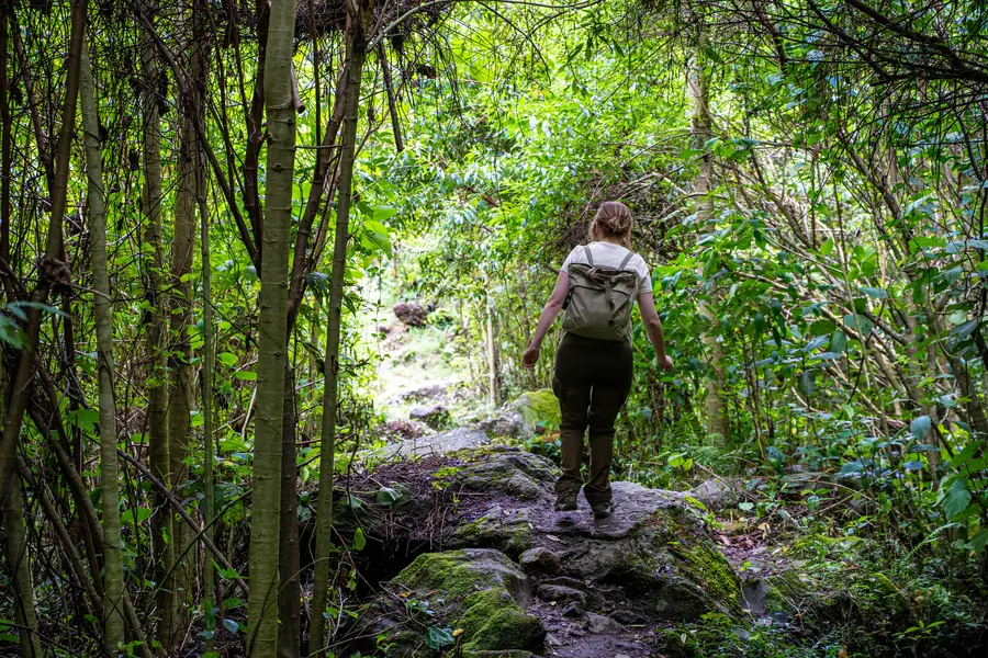 Pipeline Trail