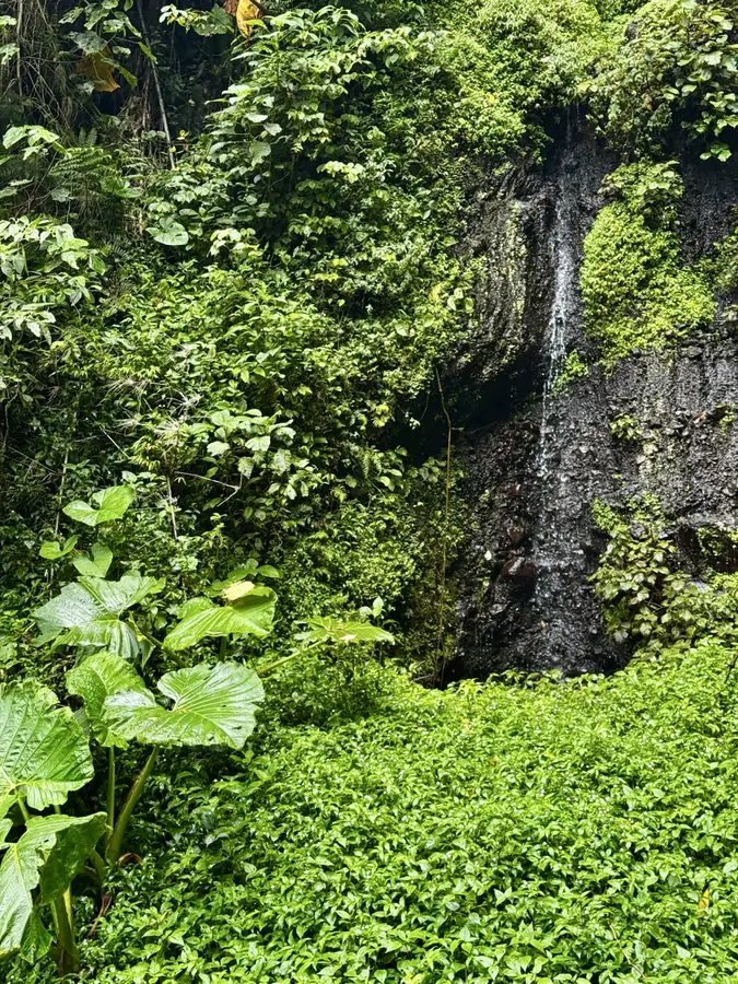 Pipeline Trail