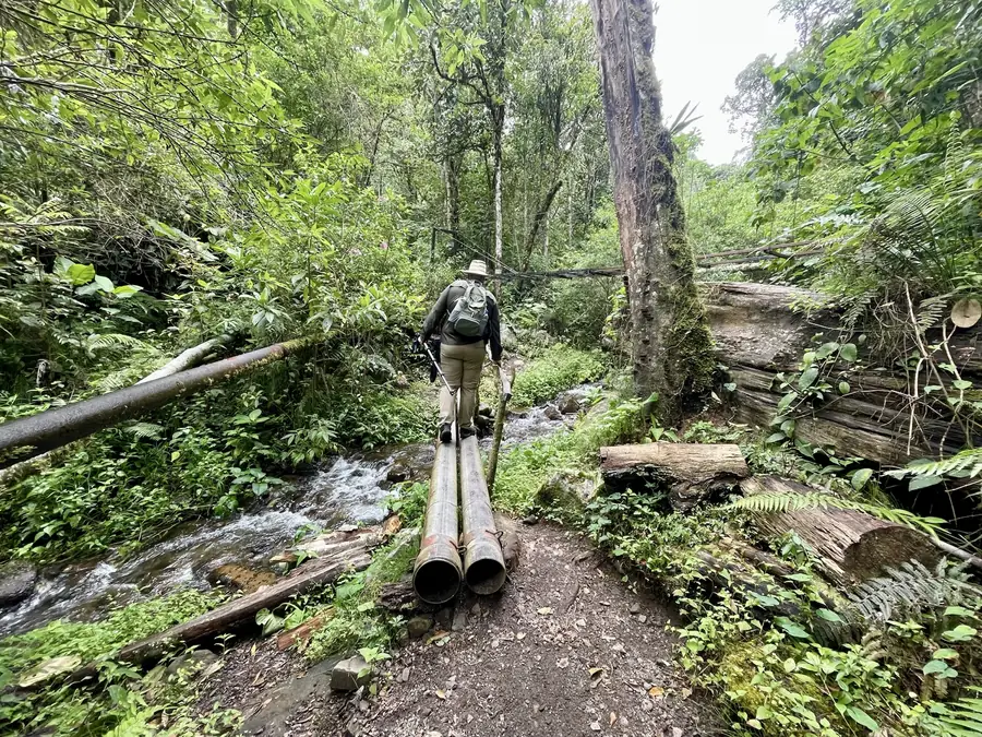 Pipeline Trail
