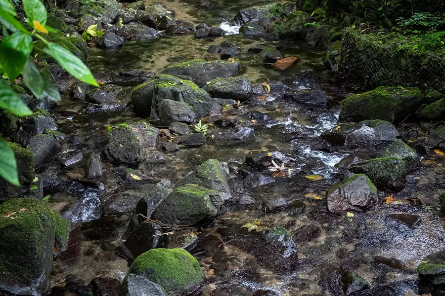 Fluss über Steine