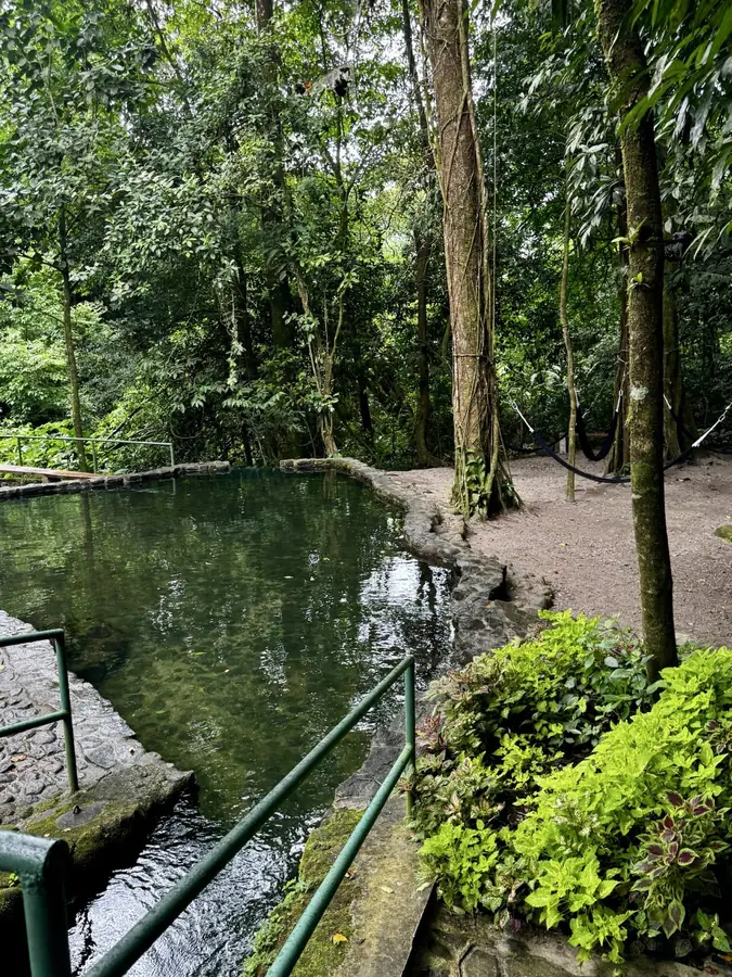 Der aufgestaute Fluss