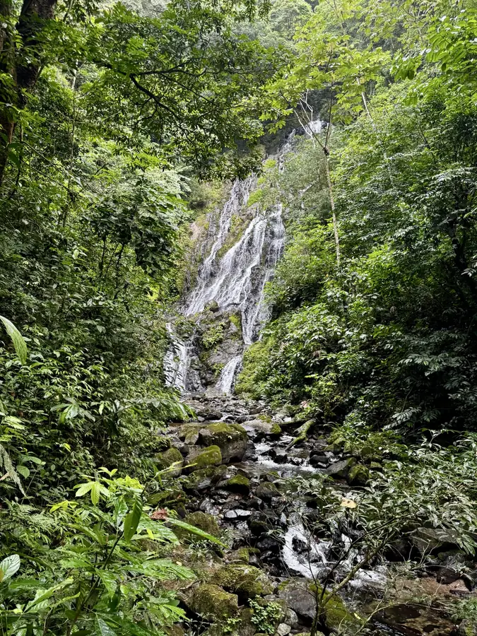Der Wasserfall, durch das Blattwerk gesehen