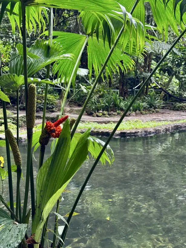 3. August · El Valle
