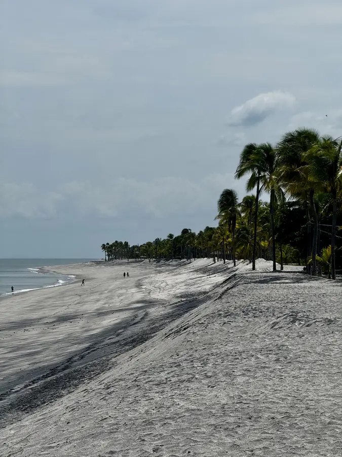 Strandabschnitt bei Ebbe