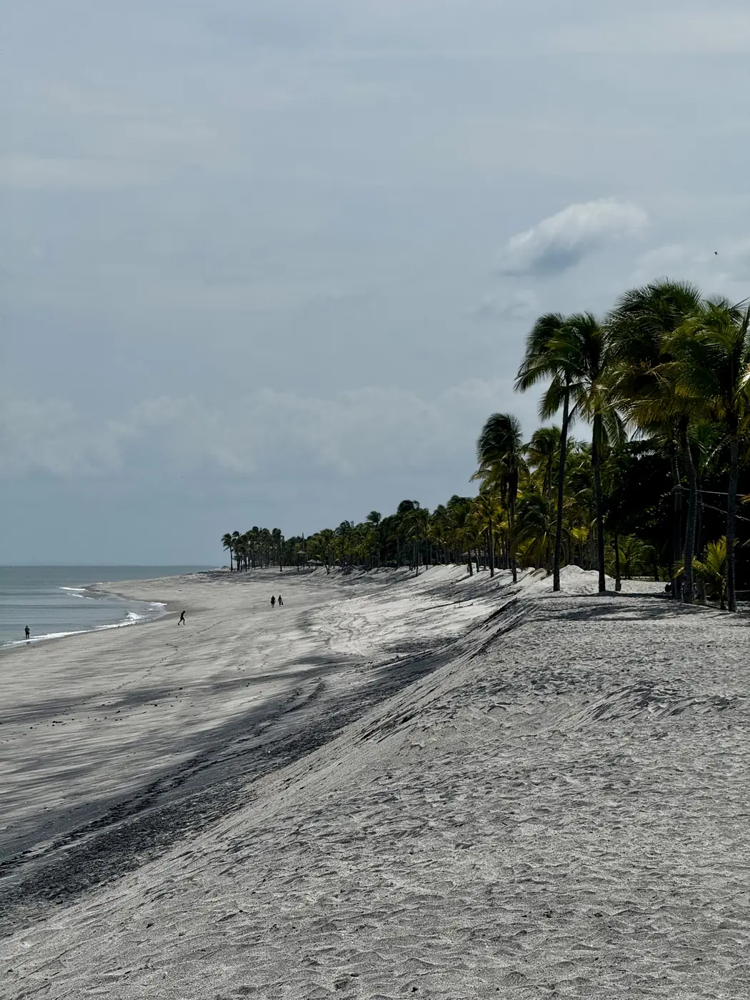 Der weite Strand von Playa Blanca mit Palmenreihe